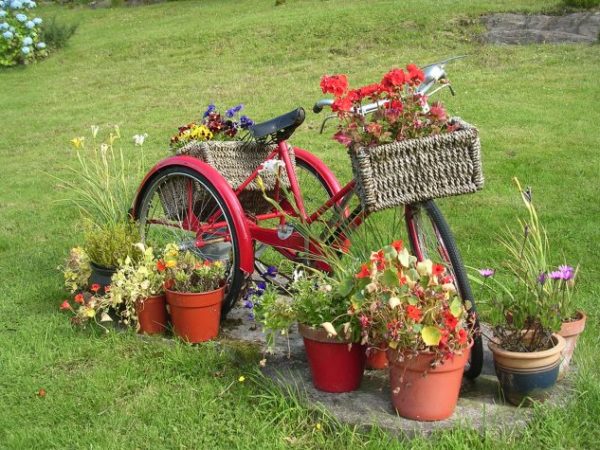 Ornament cu flori si bicicleta