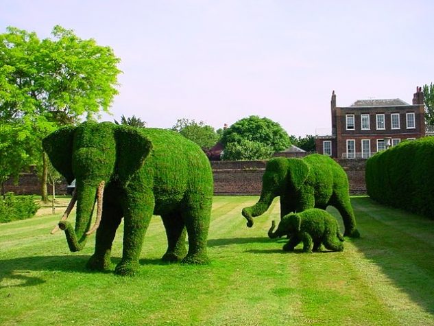 Arbusti in forma de elefanti