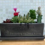 Gradina in miniatura cu cactusi