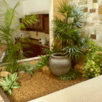 Gradina interioara cu plante decorative