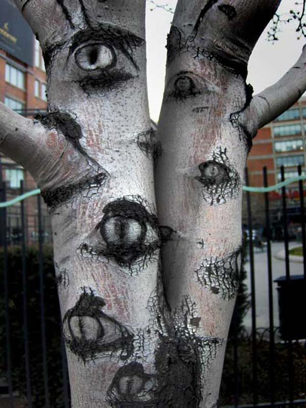 Copac cu ochi