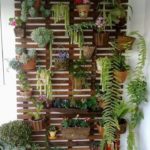 Gradina verticala cu plante suculente