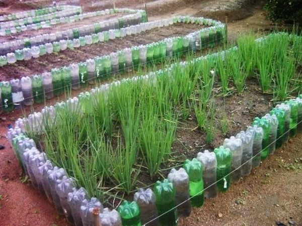 Straturi legume din sticle de plastic